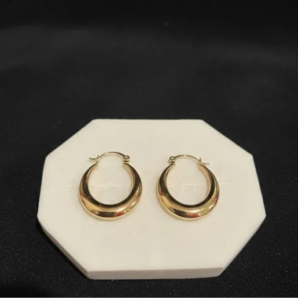 Elegant 14k Gold Plated Hoop Earrings - Picture 1 of 4